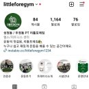 리틀포레짐 이미지