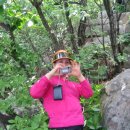 면천초등학교 이미지