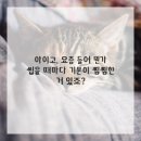 H플란트치과의원 이미지