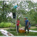 수광농장 이미지