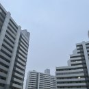 강서구-15 | 서울 강서구 아파트 임장 후기 가양 성지 2단지 넓은 1.5룸