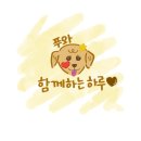 안녕, 강아지 | 구미사곡동 | 구미애견카페 웜브리즈 리뉴얼 후 재방문 후기❣