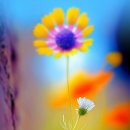 아침을 여는 음악 11월 13일(월) 이미지