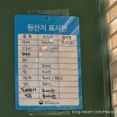[익산 맛집] &#34;인생코다리&#34; 익산 한식 맛집 매콤 코다리조림 후기