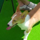 개린이 집합소 이미지