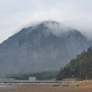 화순탕 네이버블로그