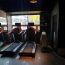 데일리PT스튜디오 | 신림 피티 데일리 PT 스튜디오 솔직 후기!