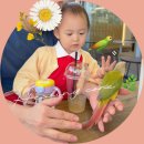 송담동물병원 | 경기도 시흥 아기랑 갈만한곳, 시흥 앵무새 카페 힐링코어🦜 🤍