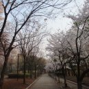정발산파크골프장 이미지