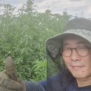 금일농장 이미지