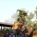 명현농장(2) 이미지