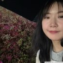 안양 미용실 추천 살롱드모아에서 클리닉 + 컷트 받고 머릿결 부활했어요✨