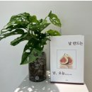 만드는날 이미지