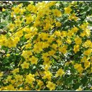 까치울역 2번 출구 이미지