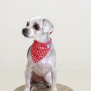 연두살롱 이미지