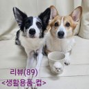 엘림 | (예쁜 머그컵 추천)엘림하우스 애니멀머그컵 사용후기