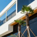 비마이아일랜드 이미지