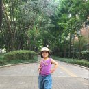 양재근린공원 이미지