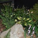 제주한란전시관 이미지