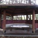 장풍숲위 이미지