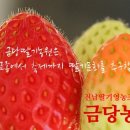 유촌초병설유치원 이미지