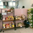 마당김밥만성점