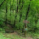 청태산휴양림 이미지