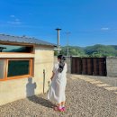 원화랑 스테이 이미지