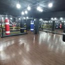 쿠마복싱짐 이미지