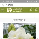 서리농산물