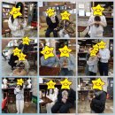 메르시몽프레 포메분양&애견카페 이미지