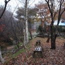 샤인펜션 - 울주군 배내로 1101 | 샤인펜션