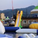 자라섬게스트 하우스 이미지