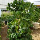 고향산천농장 이미지