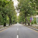 대한적십자사 앞 버스정류장 이미지