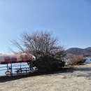 시락해변횟집 이미지