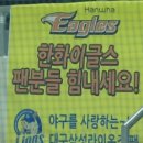 삼성고추 티스토리