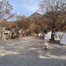 해브솔 방갈로 | 밀양 해브솔 10만 원대로 즐기는 방갈로 vs 글램핑 후기