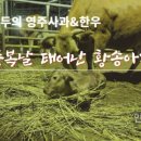 순식농장 이미지