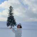 세븐일레븐 안산달맞이공원점 | 12월 일상(일본여행,제주도여행)