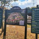 천문대오토펜션 이미지