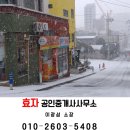 송림사부동산