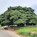 남해-299 이미지