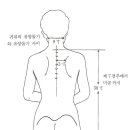 경락(經絡)과 경혈(經穴)이란?.. 경혈도.. - 경혈지압 소사전 中 이미지