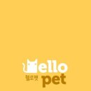 헬로펫 이미지