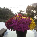 바닷가우리집 이미지