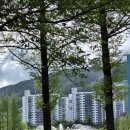 연지공원(수변데크남단) | 경남 튤립 명소 김해 연지공원 데이트 코스 피크닉 장소로 추천!