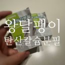금와 | 금와달팽이 특식 먹는 날_문교탄산분필 패각 케어 하는 날
