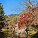 만인스테이 이미지