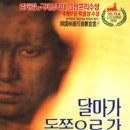 동쪽으로 이미지